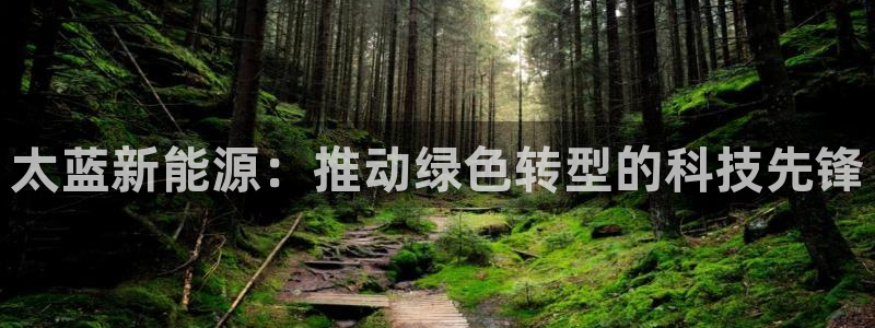 新宝GG 黑钱