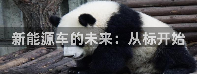 下载新宝gg