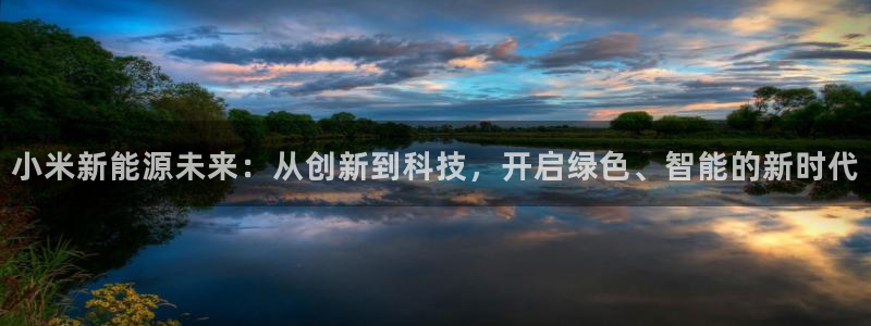 新宝gg灬75505：小米新能源未来：从