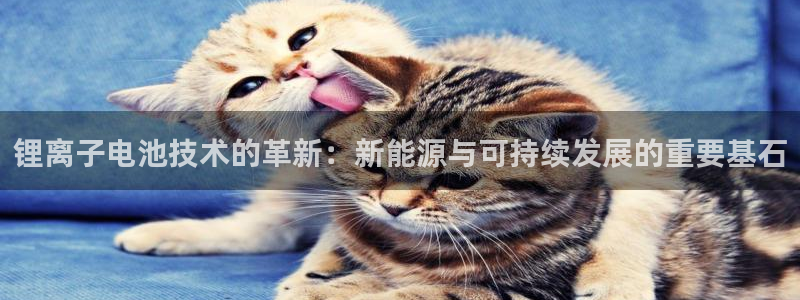 新宝gg首页