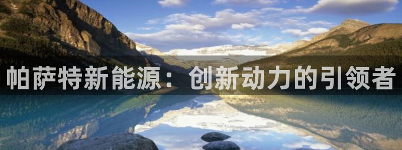 新宝GG娱乐-上皇巢网：帕萨特新能源：创