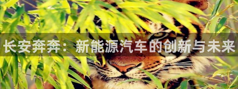 新宝gg官方注册找上级：长安奔奔：新能源