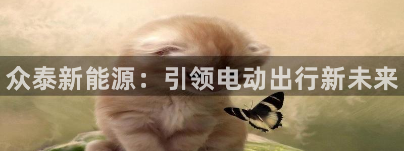 新宝gg官方下载：众泰新能源：引领电动出