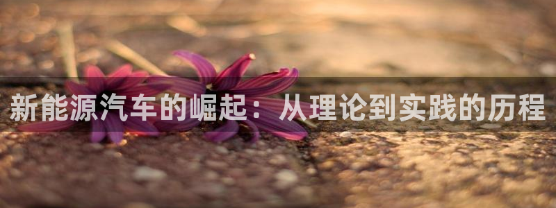 新宝gg注册cqdellar:新能源汽车的崛起:从理论到实践