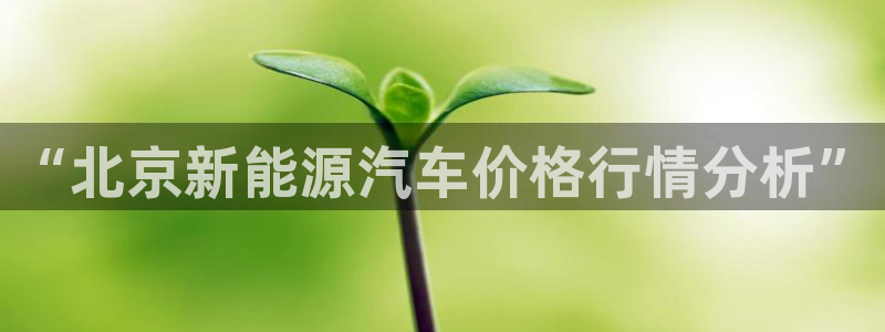 新宝gg手机app:“北京新能源汽车价格行情分析”