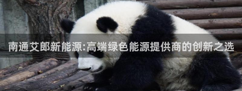 新宝GG娱乐下载:南通艾郎新能源:高端绿色能源提供商的创新之