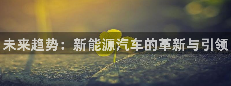 新宝gg创造奇迹:未来趋势:新能源汽车的革新与引领