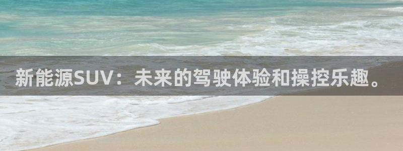 新宝GG勒55312:新能源SUV:未来的驾驶体验和操控乐趣
