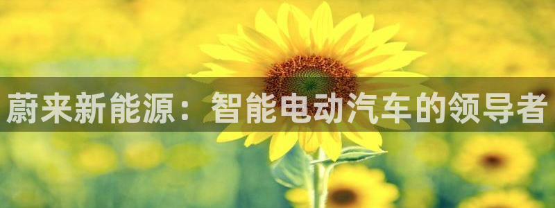 收新宝gg:蔚来新能源:智能电动汽车的领导者