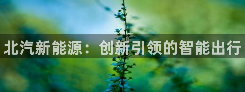 新宝GG电话:北汽新能源:创新引领的智能出行
