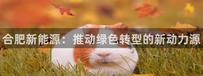 新宝gg博彩:合肥新能源:推动绿色转型的新动力源