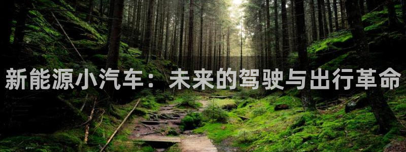 新宝gg软件下载:新能源小汽车:未来的驾驶与出行革命