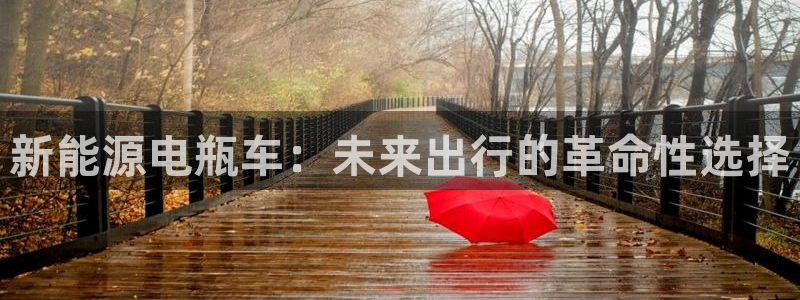 新宝gg招商:新能源电瓶车:未来出行的革命性选择