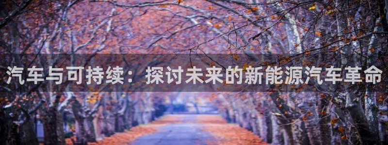 新宝gg在哪开户