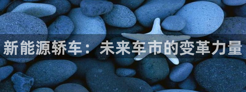 新宝gg网点:新能源轿车:未来车市的变革力量