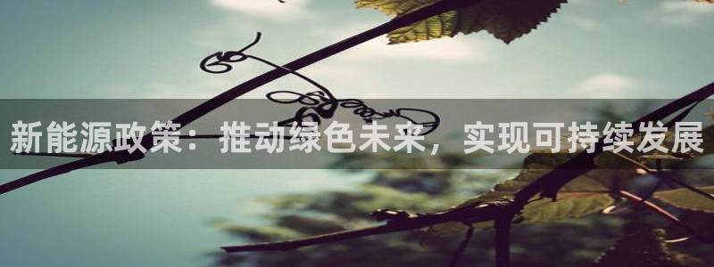 新宝gg计划：新能源政策：推动绿色未来，