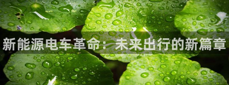 新宝GG冰冰:新能源电车革命:未来出行的新篇章