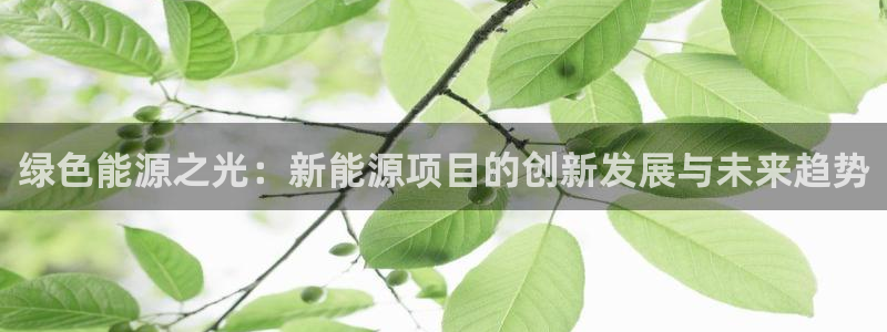 新宝gg地址：绿色能源之光：新能源项目的